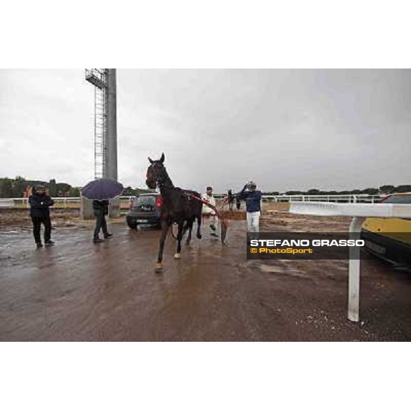Test of the new trotting racecourse at Rome Capannelle Giampaolo Minnucci Rome - Capannelle racecourse,31st jan.2014 ph.Stefano Grasso