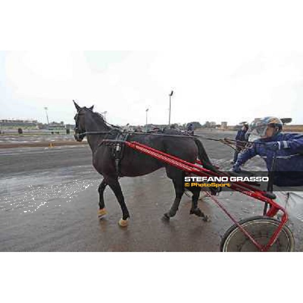 Test of the new trotting racecourse at Rome Capannelle Giampaolo Minnucci Rome - Capannelle racecourse,31st jan.2014 ph.Stefano Grasso