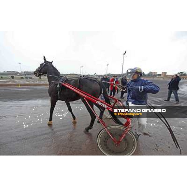 Test of the new trotting racecourse at Rome Capannelle Giampaolo Minnucci Rome - Capannelle racecourse,31st jan.2014 ph.Stefano Grasso