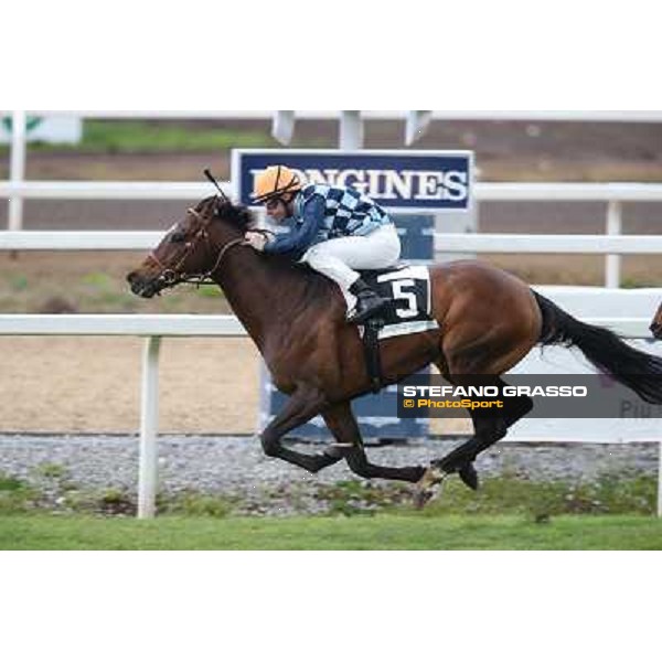 Gabriele Bietolini on Saint Bernard wins the Premio Zafonic Rome - Capannelle racecourse,2nd march 2014 ph.Stefano Grasso