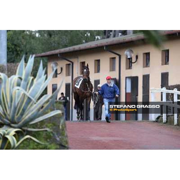 Saint Bernard wins the Premio Zafonic Rome - Capannelle racecourse,2nd march 2014 ph.Stefano Grasso