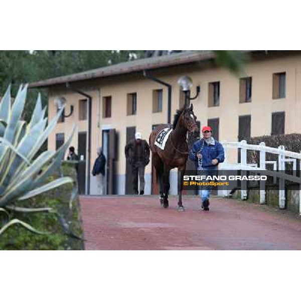 Saint Bernard wins the Premio Zafonic Rome - Capannelle racecourse,2nd march 2014 ph.Stefano Grasso