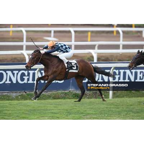 Gabriele Bietolini on Saint Bernard wins the Premio Zafonic Rome - Capannelle racecourse,2nd march 2014 ph.Stefano Grasso