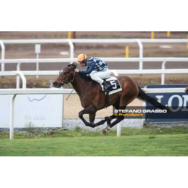 Gabriele Bietolini on Saint Bernard wins the Premio Zafonic Rome - Capannelle racecourse,2nd march 2014 ph.Stefano Grasso