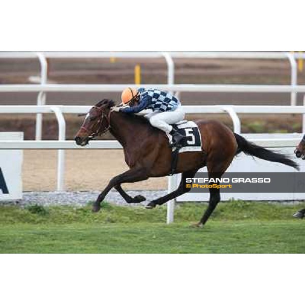 Gabriele Bietolini on Saint Bernard wins the Premio Zafonic Rome - Capannelle racecourse,2nd march 2014 ph.Stefano Grasso