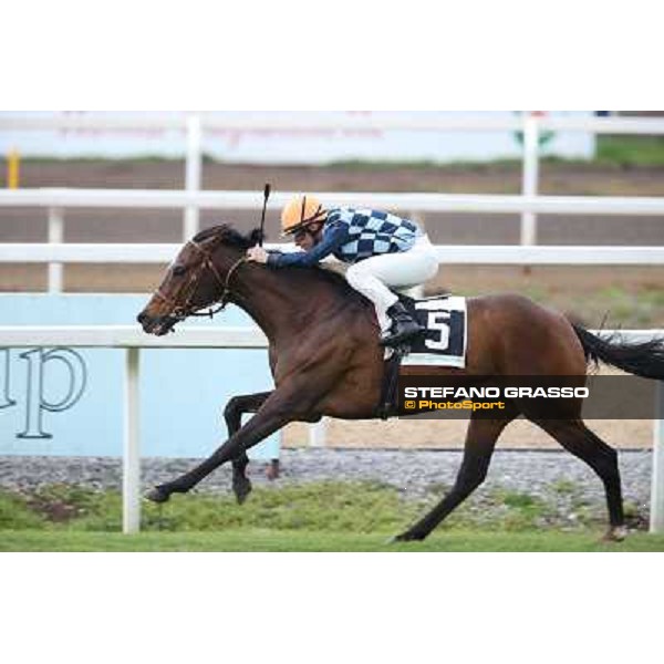 Gabriele Bietolini on Saint Bernard wins the Premio Zafonic Rome - Capannelle racecourse,2nd march 2014 ph.Stefano Grasso