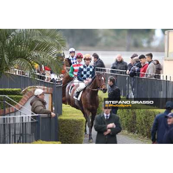 Gabriele Bietolini on Saint Bernard wins the Premio Zafonic Rome - Capannelle racecourse,2nd march 2014 ph.Stefano Grasso