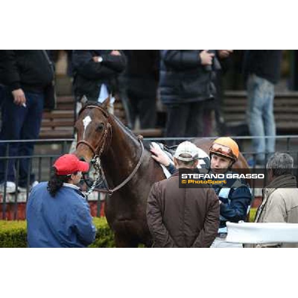 Gabriele Bietolini on Saint Bernard wins the Premio Zafonic Rome - Capannelle racecourse,2nd march 2014 ph.Stefano Grasso