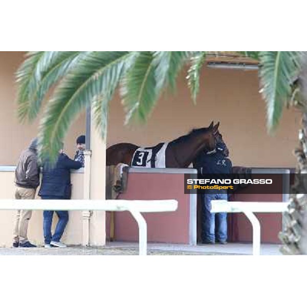 Luigi Riccardi and Jyoti Roma - Capannelle racecourse,2nd march 2014 ph.Stefano Grasso