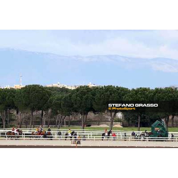 start Roma - Capannelle racecourse,2nd march 2014 ph.Stefano Grasso