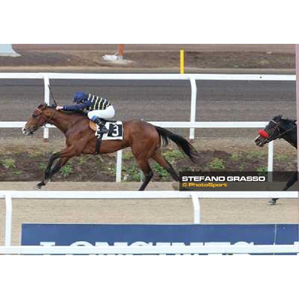 Jyoti - Premio Pentotal Roma - Capannelle racecourse,2nd march 2014 ph.Stefano Grasso