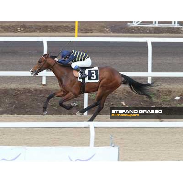 Jyoti - Premio Pentotal Roma - Capannelle racecourse,2nd march 2014 ph.Stefano Grasso