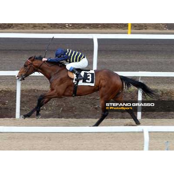 Jyoti - Premio Pentotal Roma - Capannelle racecourse,2nd march 2014 ph.Stefano Grasso
