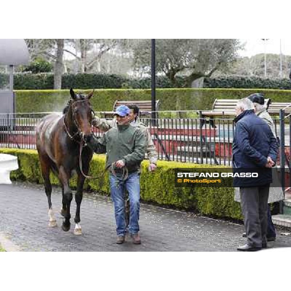 Endo and Giuseppe Botti with Kaspersky after winning the Premio Donatello Roma - Capannelle racecourse,2nd march 2014 ph.Domenico Savi/Grasso
