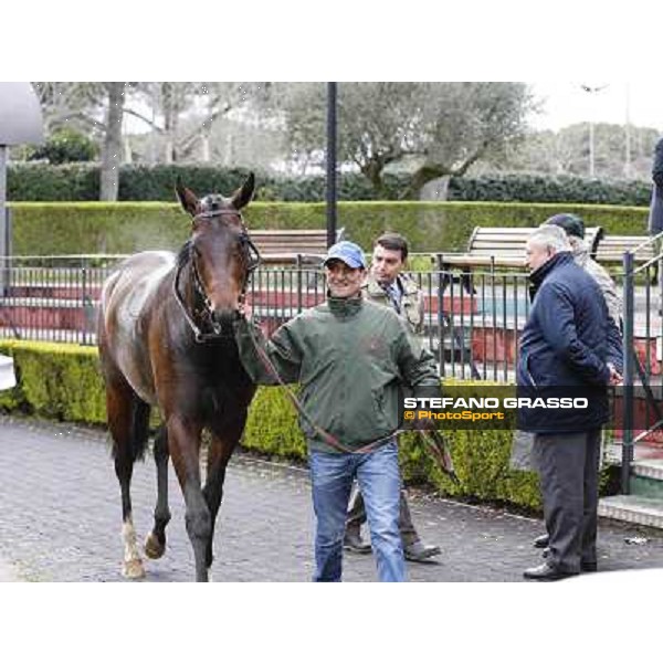 Endo and Giuseppe Botti with Kaspersky after winning the Premio Donatello Roma - Capannelle racecourse,2nd march 2014 ph.Domenico Savi/Grasso