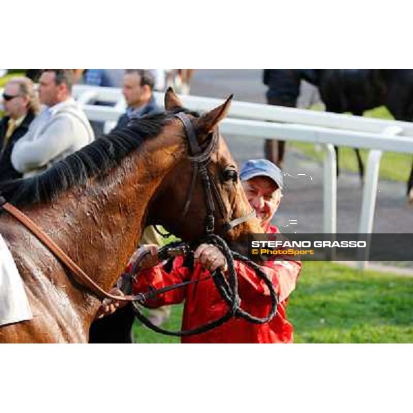 a portrait for Lipfix after winning the Premio Trattato di Roma Rome - Capannelle racecourse,16th march 2014 ph.Domenico Savi/Grasso