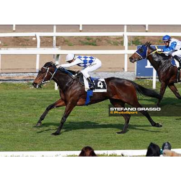 Cristian Demuro on Icebreaking wins the Premio Sinthesis Rome - Capannelle racecourse,16th march 2014 ph.Domenico Savi/Grasso