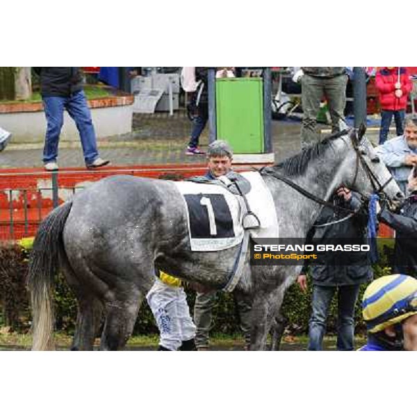 Chiara Wells after winning the Premio Don Rome, Capannelle racecourse, 23rd march 2014 ph.Domenico Savi/Grasso