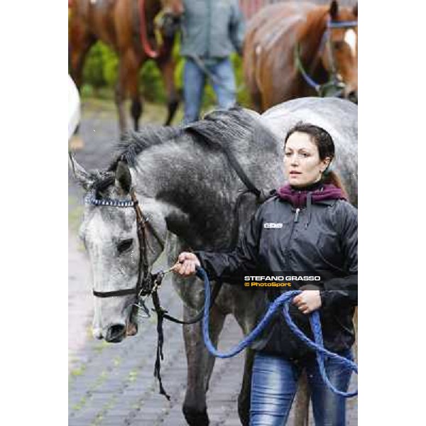 Chiara Wells after winning the Premio Don Rome, Capannelle racecourse, 23rd march 2014 ph.Domenico Savi/Grasso