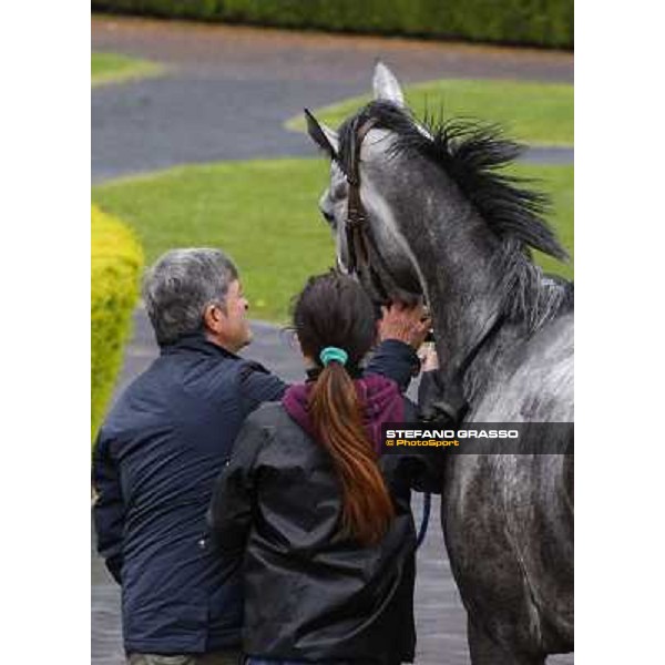 Chiara Wells after winning the Premio Don Rome, Capannelle racecourse, 23rd march 2014 ph.Domenico Savi/Grasso