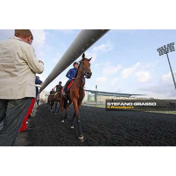 Morning track works - Sheikhzayedroad leads the group coming back home after morning exercises Dubai - Meydan racecourse,27th march 2014 ph.Stefano Grasso