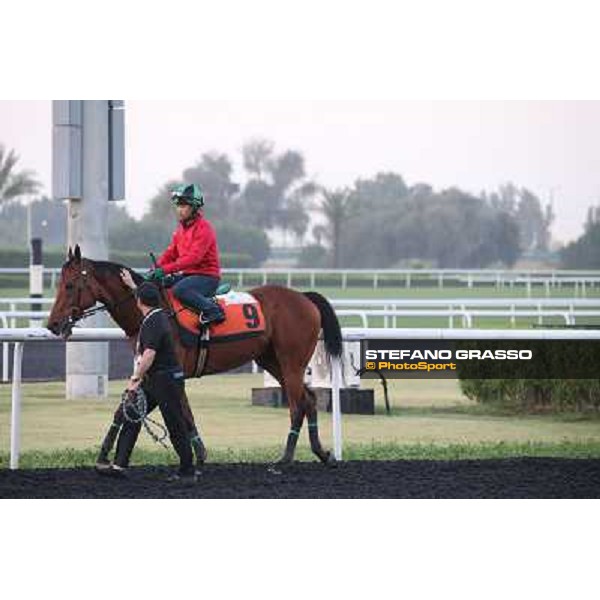 morning track works - Joy and Fun and Derek Cruz Dubai - Meydan racecourse,27th march 2014 ph.Stefano Grasso