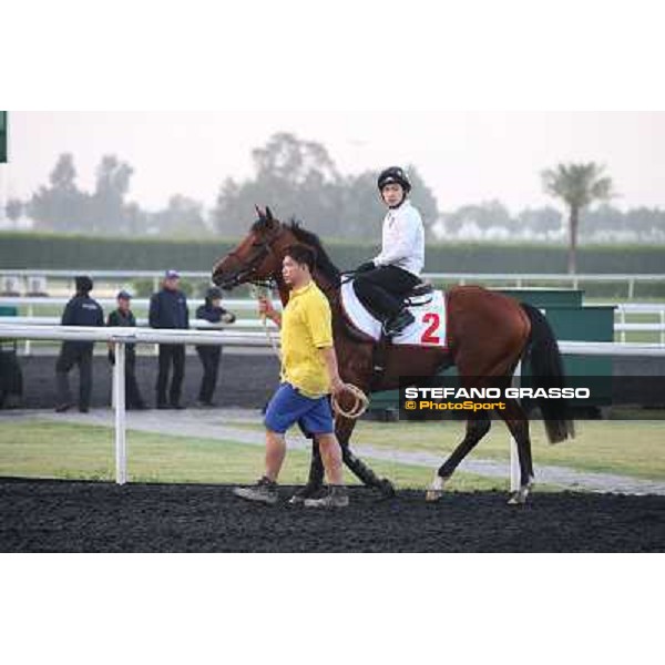morning track works - Akeed Mofeed Dubai - Meydan racecourse,27th march 2014 ph.Stefano Grasso