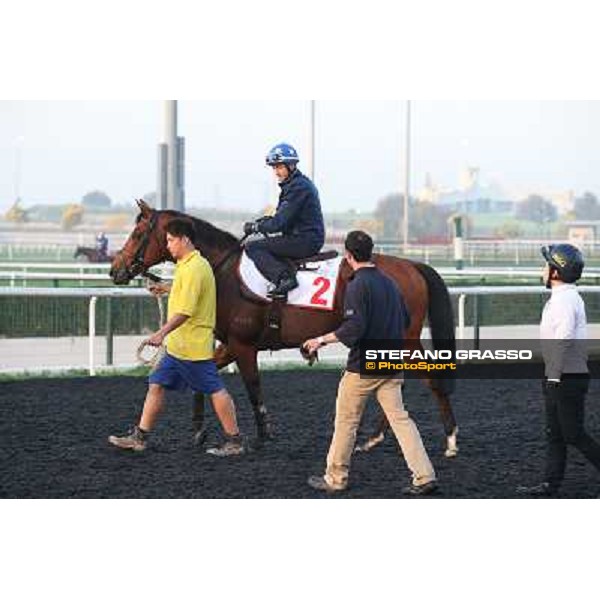 morning track works - Douglas White on Akeed Mofeed Dubai - Meydan racecourse,27th march 2014 ph.Stefano Grasso