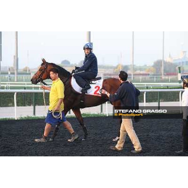 morning track works - Douglas White on Akeed Mofeed Dubai - Meydan racecourse,27th march 2014 ph.Stefano Grasso