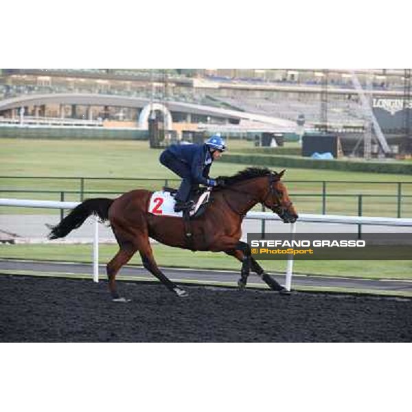 morning track works - Douglas White on Akeed Mofeed Dubai - Meydan racecourse,27th march 2014 ph.Stefano Grasso