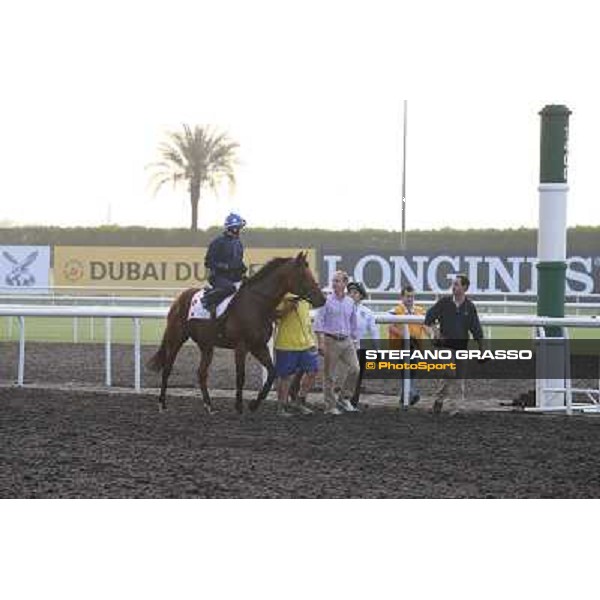morning track works - Douglas White on Akeed Mofeed and Richard Gibson Dubai - Meydan racecourse,27th march 2014 ph.Stefano Grasso