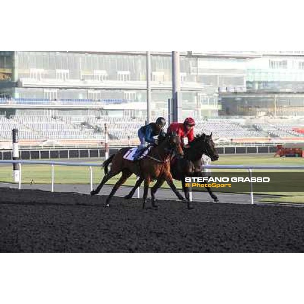 morning track works - Military Attack and Sterling City Dubai - Meydan racecourse,27th march 2014 ph.Stefano Grasso