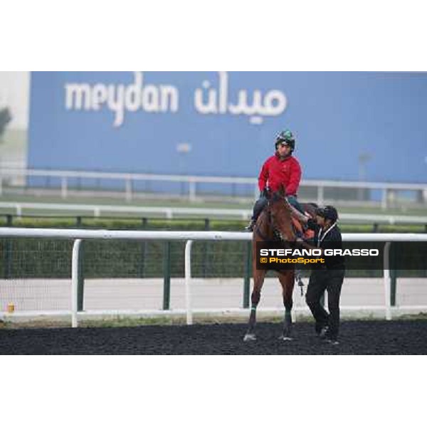 morning track works - Joy and Fun -Derek Cruz Dubai - Meydan racecourse,27th march 2014 ph.Stefano Grasso