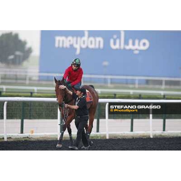 morning track works - Joy and Fun -Derek Cruz Dubai - Meydan racecourse,27th march 2014 ph.Stefano Grasso