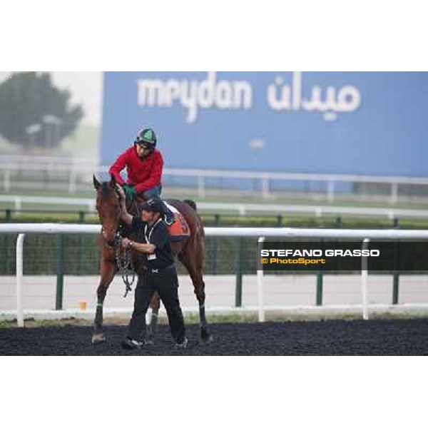 morning track works - Joy and Fun -Derek Cruz Dubai - Meydan racecourse,27th march 2014 ph.Stefano Grasso