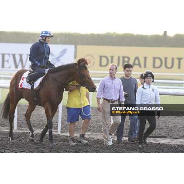 morning track works - Douglas White on Akeed Mofeed and Richard Gibson Dubai - Meydan racecourse,27th march 2014 ph.Stefano Grasso
