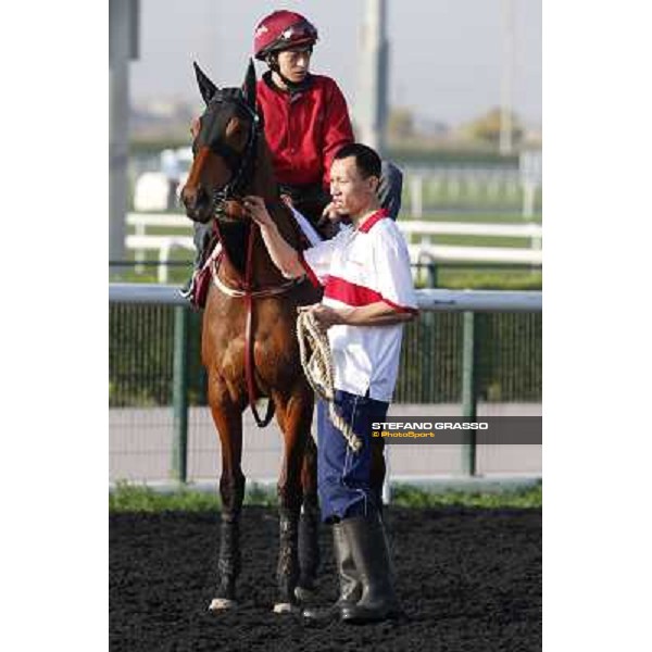 morning track works - Military Attack Dubai - Meydan racecourse,27th march 2014 ph.Stefano Grasso