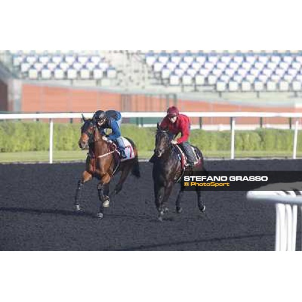 morning track works - Military Attack and Sterling City Dubai - Meydan racecourse,27th march 2014 ph.Stefano Grasso
