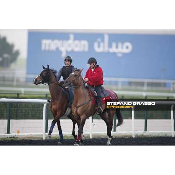 Morning track works - Ambivalent Dubai - Meydan racecourse,27th march 2014 ph.Stefano Grasso