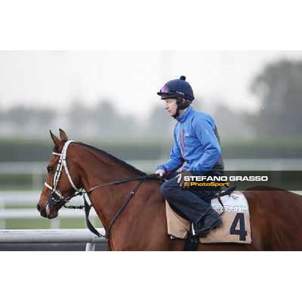 Morning track works - Jamesie Dubai - Meydan racecourse,27th march 2014 ph.Stefano Grasso
