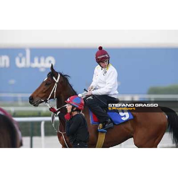 Morning track works - Mull of Killough and Ryan Moore Dubai - Meydan racecourse,27th march 2014 ph.Stefano Grasso