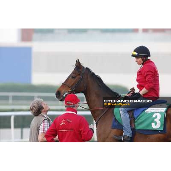 Morning track works - Corine Barande-Barbe and Cirrus des Aigles Dubai - Meydan racecourse,27th march 2014 ph.Stefano Grasso