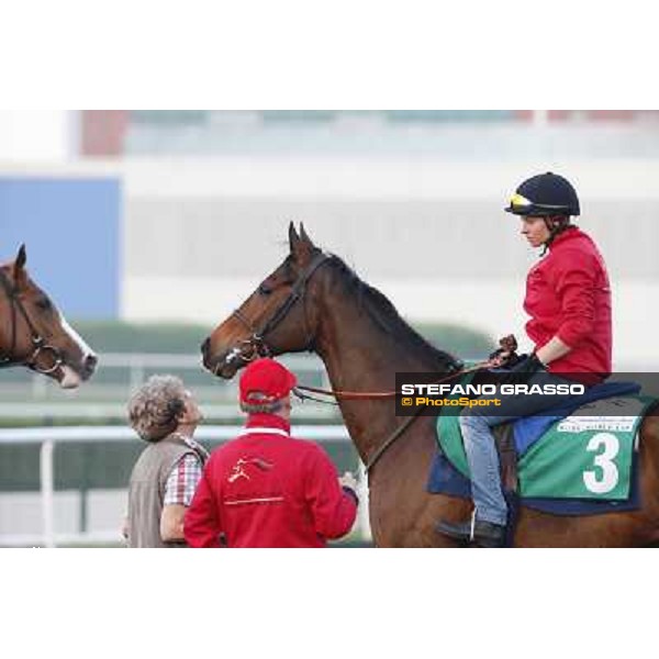 Morning track works - Corine Barande-Barbe and Cirrus des Aigles Dubai - Meydan racecourse,27th march 2014 ph.Stefano Grasso