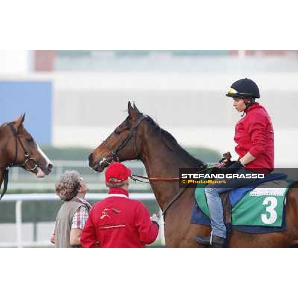 Morning track works - Corine Barande-Barbe and Cirrus des Aigles Dubai - Meydan racecourse,27th march 2014 ph.Stefano Grasso
