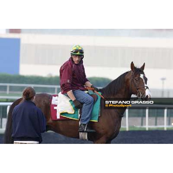 Morning track works - Asmar Dubai - Meydan racecourse,27th march 2014 ph.Stefano Grasso