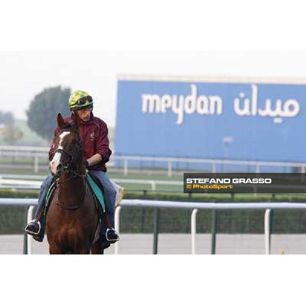 Morning track works - Asmar Dubai - Meydan racecourse,27th march 2014 ph.Stefano Grasso