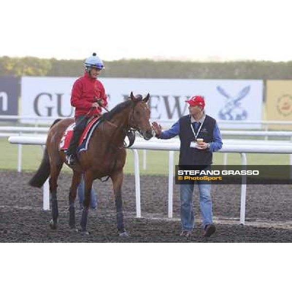 Morning track works - Ed Dunlop and Joshua Tree Dubai - Meydan racecourse,27th march 2014 ph.Stefano Grasso