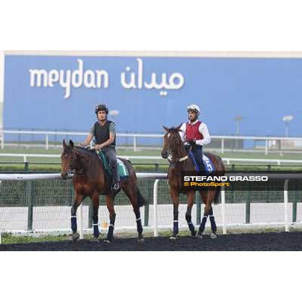 Morning track works - Dunaden and Flotilla Dubai - Meydan racecourse,27th march 2014 ph.Stefano Grasso