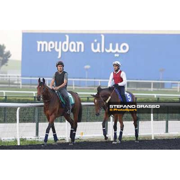 Morning track works - Dunaden and Flotilla Dubai - Meydan racecourse,27th march 2014 ph.Stefano Grasso