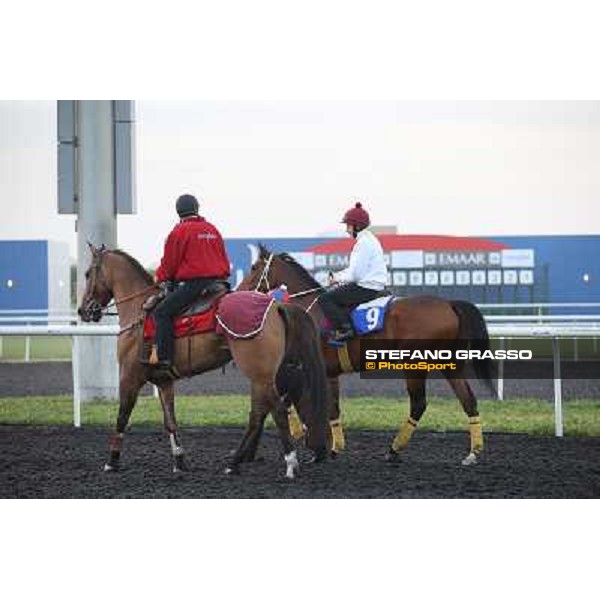 Morning track works - Ryan Moore on Mull of Killough Dubai - Meydan racecourse,27th march 2014 ph.Stefano Grasso